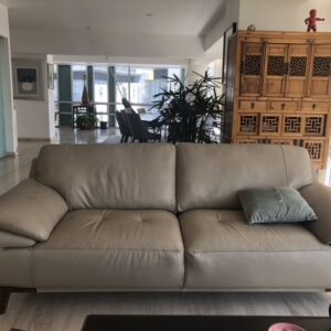Leather sofa (copia)